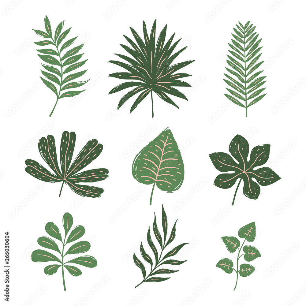 Set of tropical leaves. Hand drawn vector elements Set of tropical leaves. Hand drawn vector elements