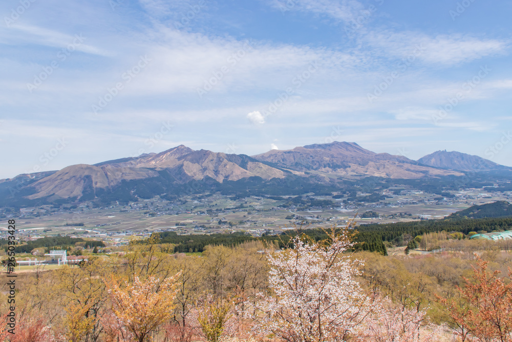 Fototapeta premium ケニーロードから見た阿蘇山と桜 Aso Mt. and Cherry Blossoms 熊本県阿蘇市