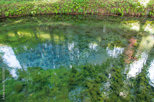                Shirakawa water sources                     