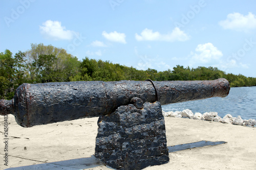 cannon in an old fortress