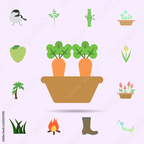 Carrot colored icon. Universal set of nature for website design and development, app development