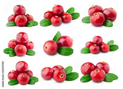 cranberry isolated on white background  clipping path  full depth of field