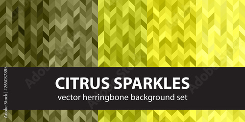 Herringbone pattern set Citrus Sparkles. Vector seamless parquet backgrounds