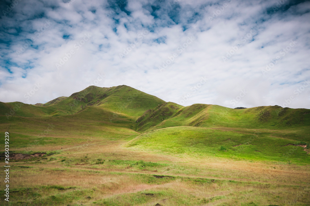Prairie Prairie