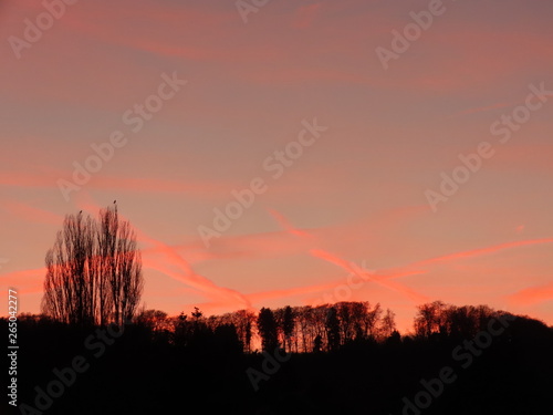 Orange sunset over black tree line  condensation trails make bright red lines with square pattern