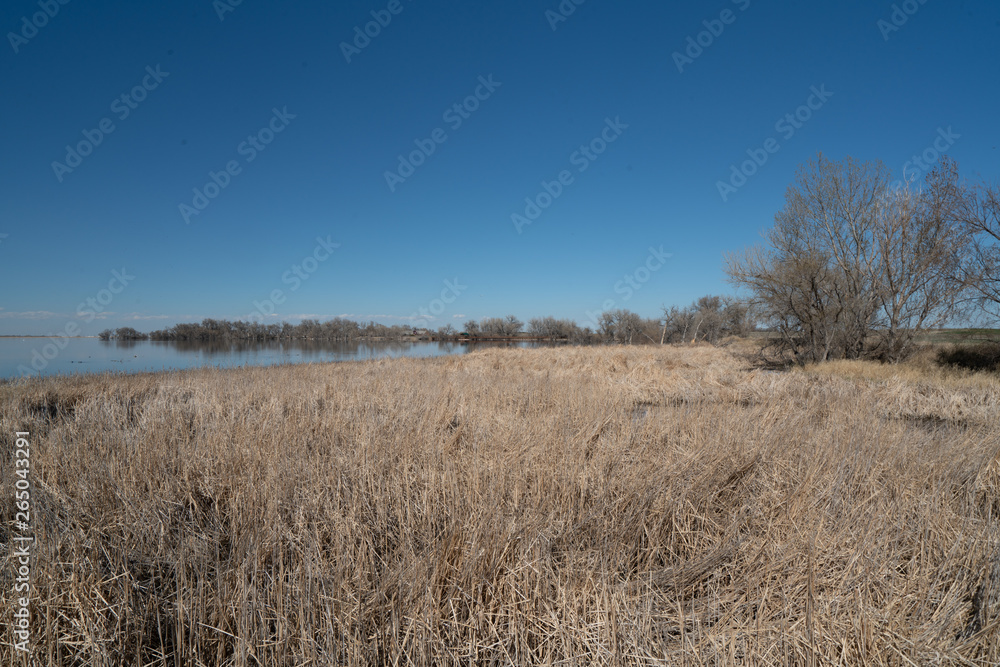 Lake in Colorado