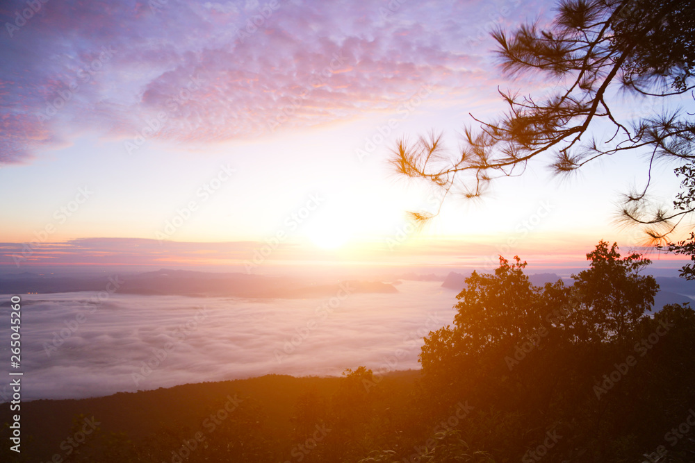 Sun rise At high mountains There are forests and pines.