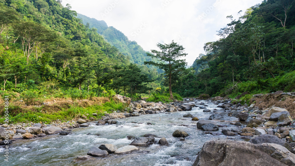 Landscape Nature Scenery Forest and River Landscape Nature Scenery Forest and River