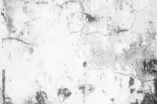 White Grunge Concrete Wall Texture Background  Suitable for Presentation and Web Templates.
