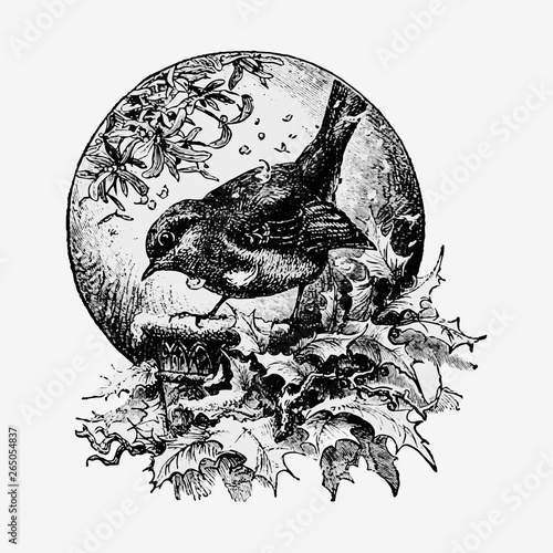 Winter bird in vintage style