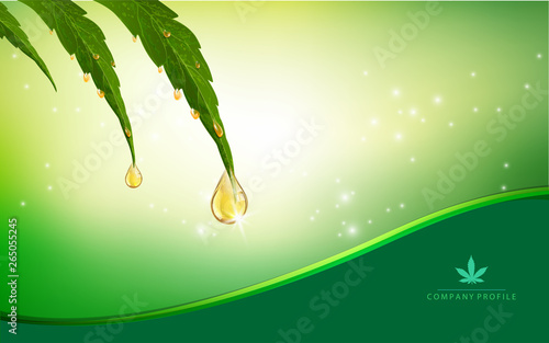 Marijuana plant and cannabis oil drop vector.
