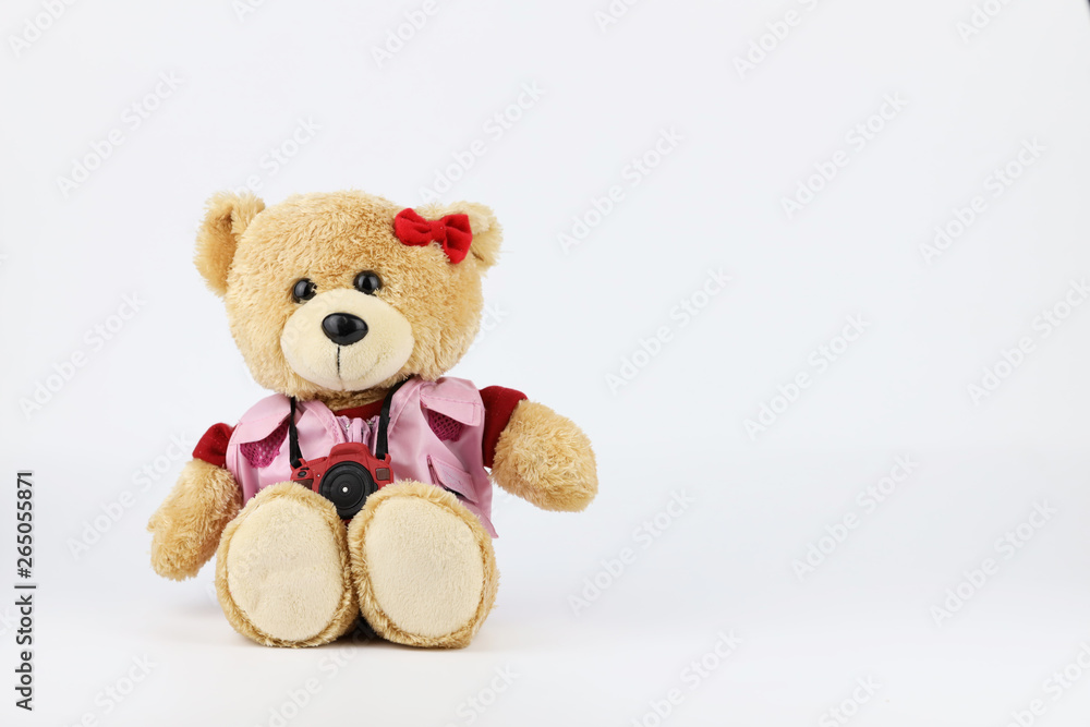 female teddy bear with camera isolated and white background female teddy bear with camera isolated and white background