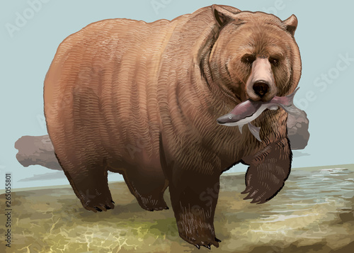 Hand drawn bear