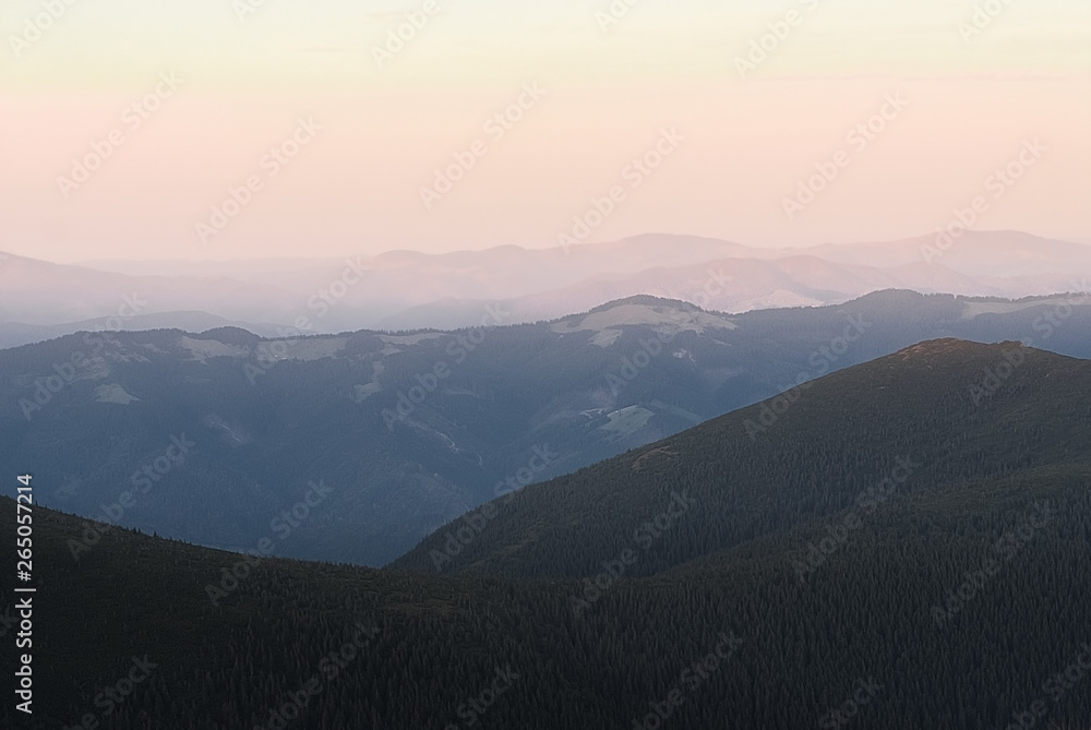 The mountains on a sunny day and sunset with clouds and coniferous forest. Landscape