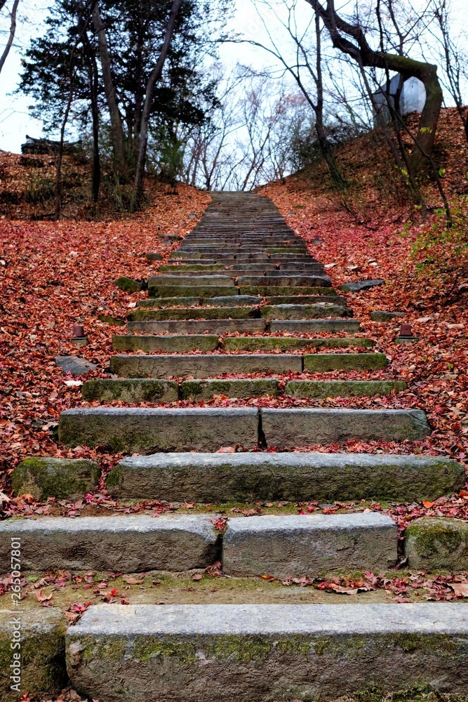 Stone Stairs in Winter Forest.