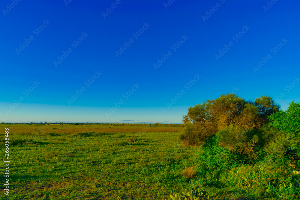 Fototapeta premium Paisaje de campo