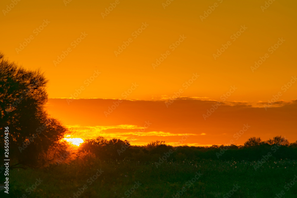 Obraz premium Puesta de Sol de Campo