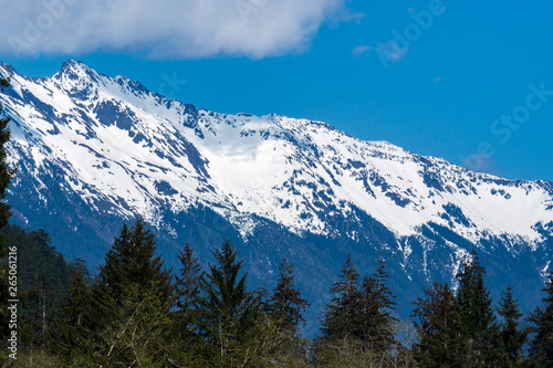 Olympic Mountains