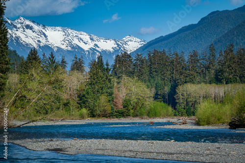 Hoh River And Mountains