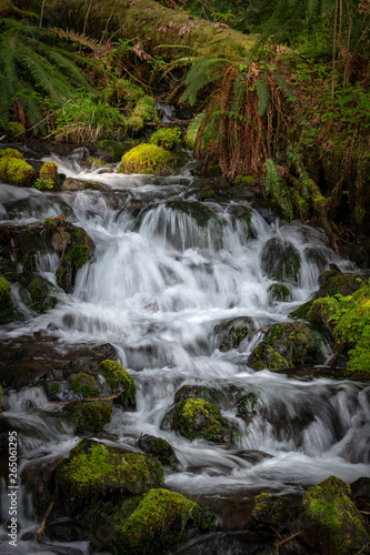 Fototapeta Naklejka Na Ścianę i Meble -  Waterfall In Forest