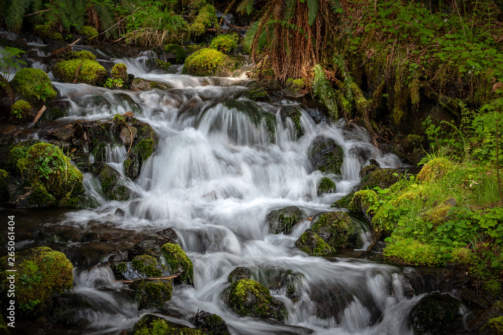 Waterfall In Forest Waterfall In Forest