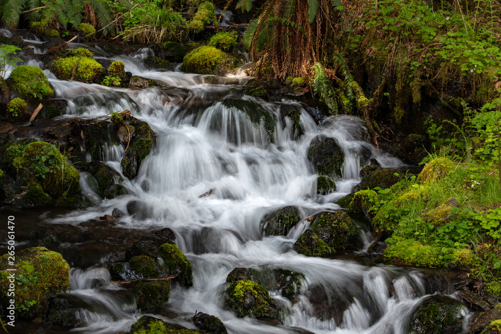Fototapeta premium Waterfall In Forest