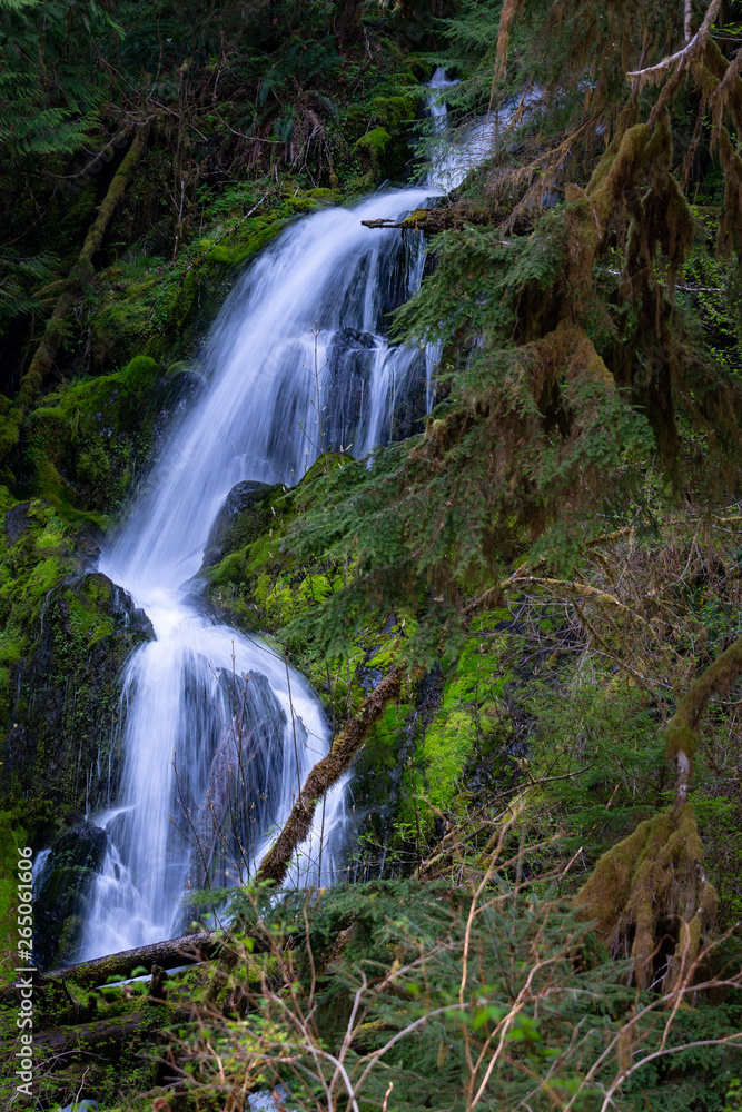 Waterfall In Forest Waterfall In Forest