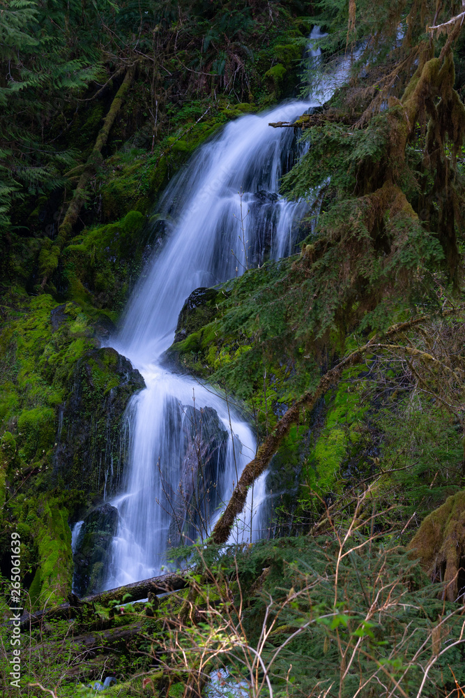 Waterfall In Forest