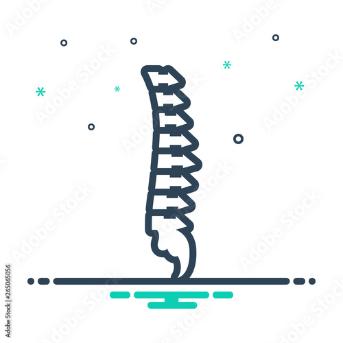 Mix line icon for vertebra anatomy 