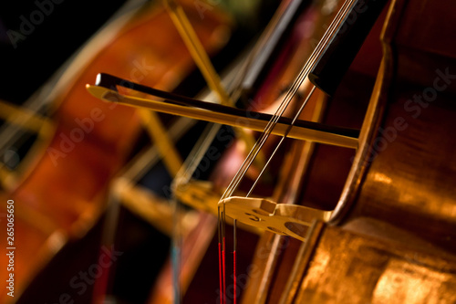  Fragment of double basses in the orchestra closeup