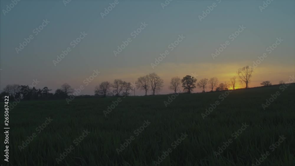 A PANNING SHOT in the beautiful countryside at sunset with trees on the horizon. A PANNING SHOT in the beautiful countryside at sunset with trees on the horizon.