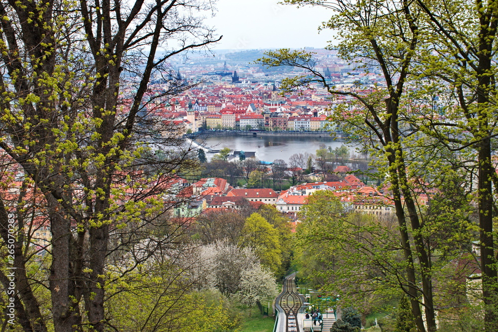 High angle view of Prague cityscape through the trees