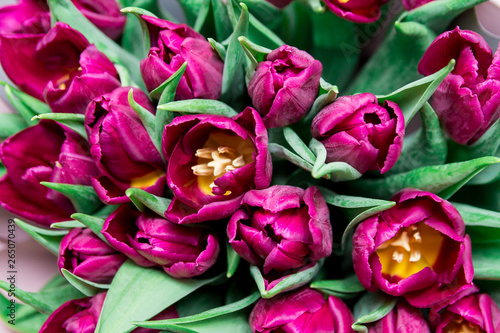 Fototapeta Naklejka Na Ścianę i Meble -  The close up of bright pink tulips flowers bouquet