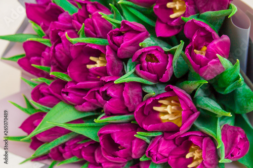The close up of bright pink tulips flowers bouquet