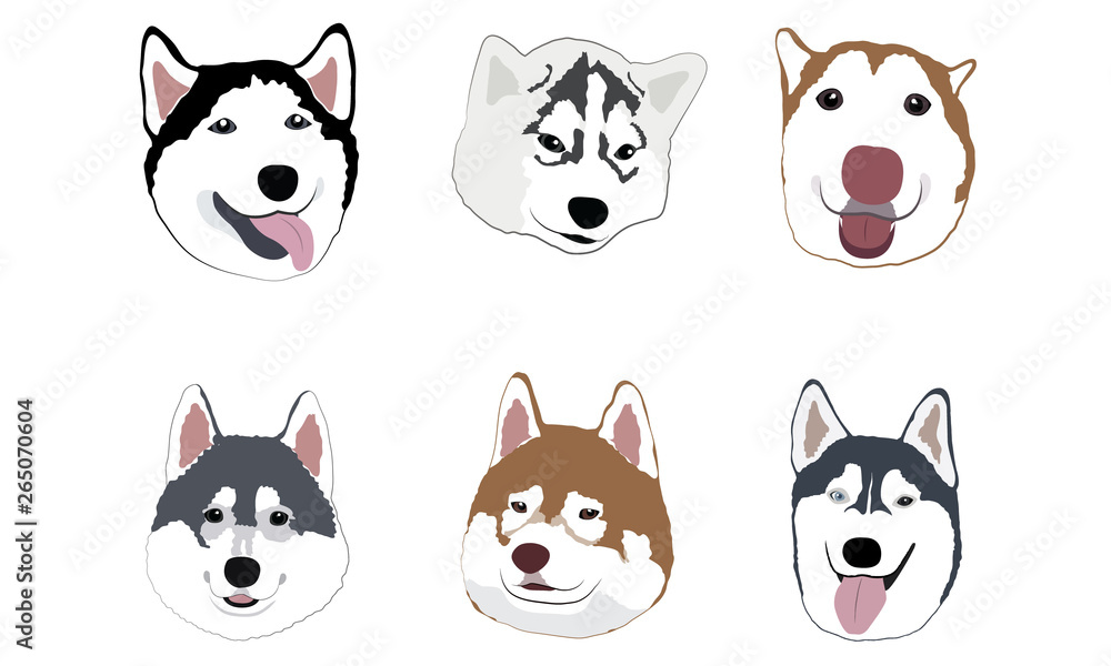 Cute dogs cartoon vector