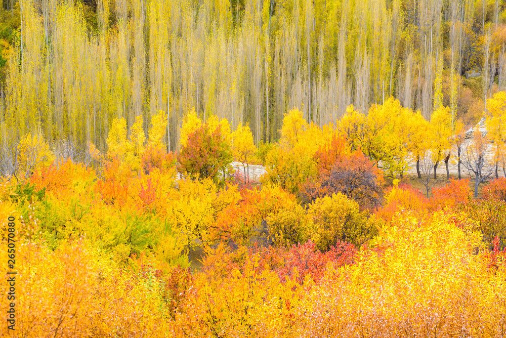 Fototapeta premium beautiful mountain in nature landscape view from Pakistan,autumn