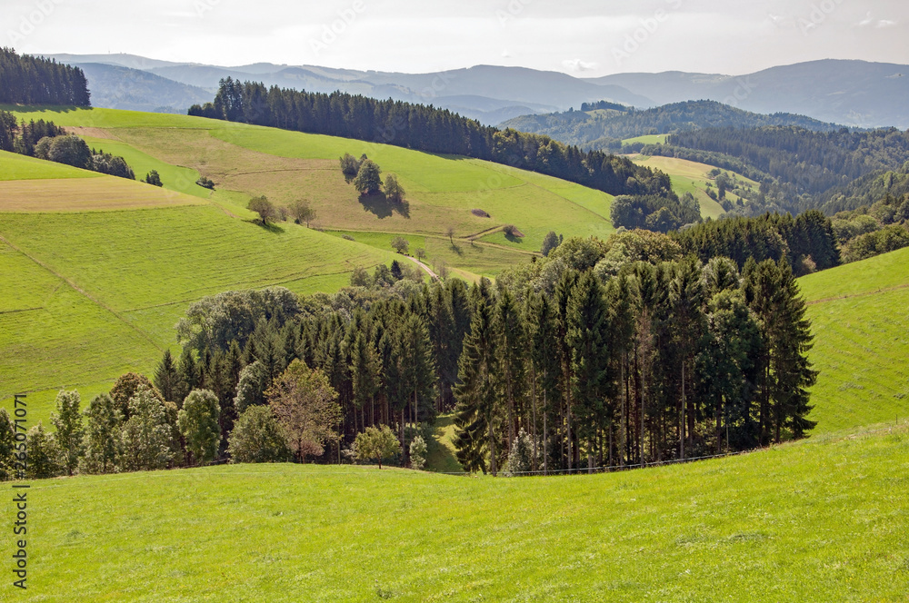 Obraz premium Black Forest in Bavaria, Germany. Untouched nature with mountains, forests and deep-sea lakes and enchanting countries. Paesaggi nella zona di Gutach.