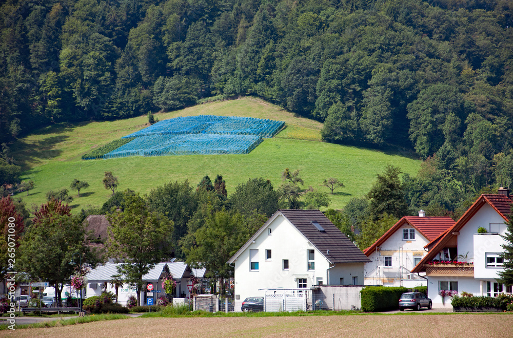 Obraz premium Black Forest in Bavaria, Germany. Untouched nature with mountains, forests and deep-sea lakes and enchanting countries. Paesaggi nella zona di Gutach.
