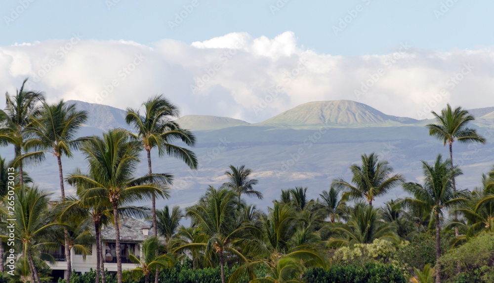 Resort in Waikoiloa with Mauna Kea in background