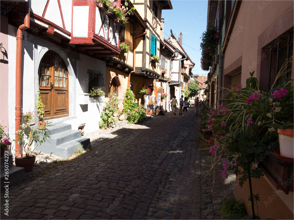 maisons traditionnelles fleuries du village alsacien d'Iguilsheim
