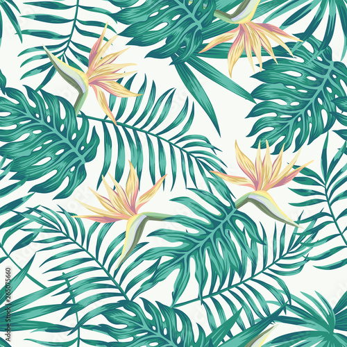 Tropical leaves blue tone bird of paradise white background
