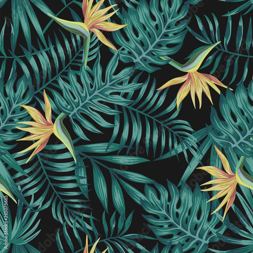 Tropical leaves blue tone bird of paradise black background