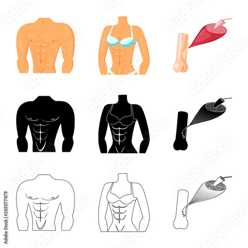 Vector design of fiber and muscular icon. Set of fiber and body  stock vector illustration.