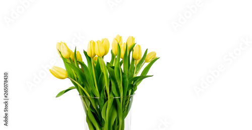 Bouquet of yellow tulips in vase isolated on white background.