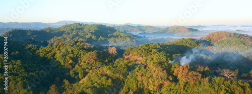panoramic view in the early morning over the rain forest © soft_light