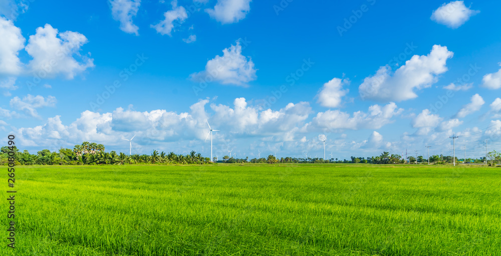 Green technology concept. Wind generators in field at Hua Sai District,  Nakhon Si Thammarat Province, Thailand