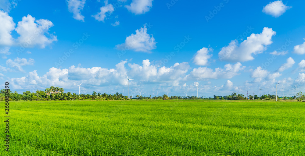 Fototapeta premium Green technology concept. Wind generators in field at Hua Sai District, Nakhon Si Thammarat Province, Thailand