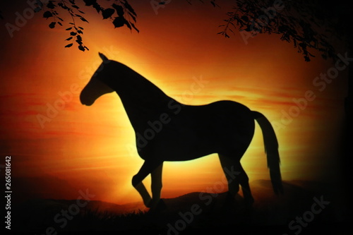 horse in the sunset © Андрей Любишин