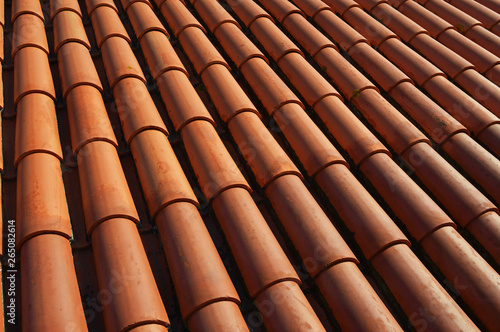 Tiled roofs of the famous Monastery Saint Vicente de Fora in Lis
