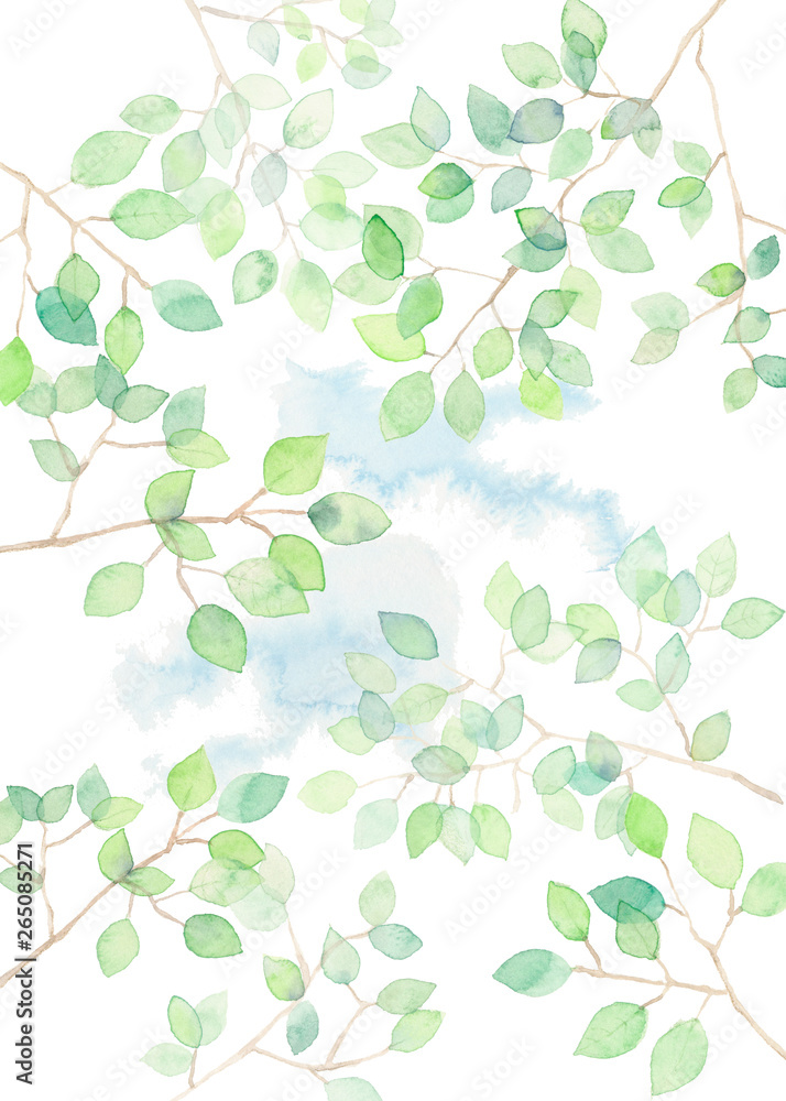 木漏れ日、ズーム、空